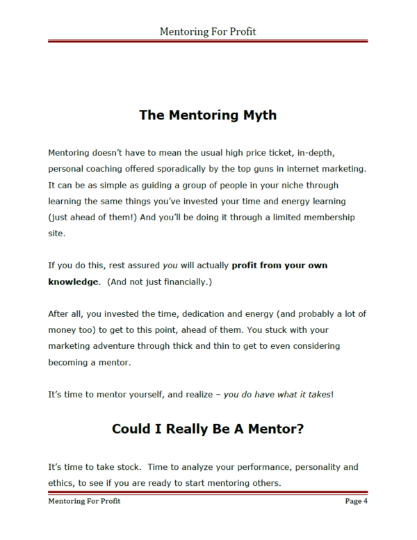 Mentoring For Profit - Image 2