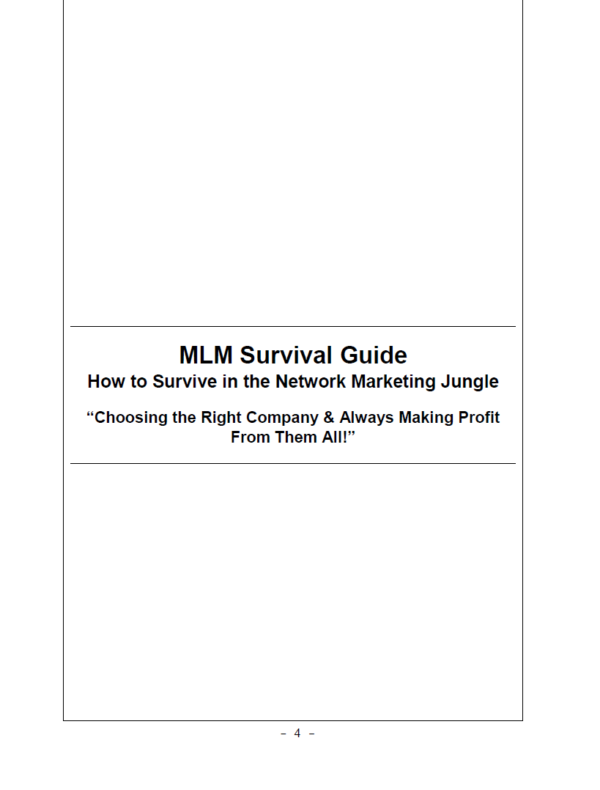 MLM Survival Guide - Image 3