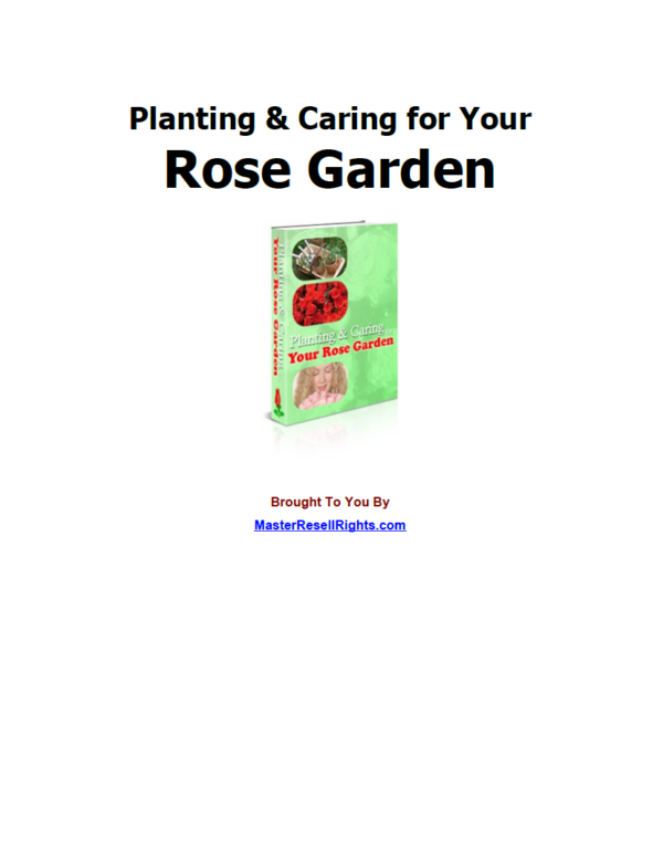 Planting & Caring for Your Rose Garden